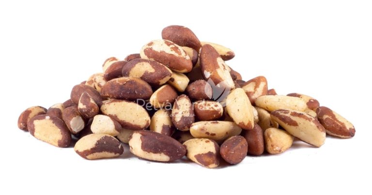 Castanha do Pará - Relva Verde Bem-estar e Saúde