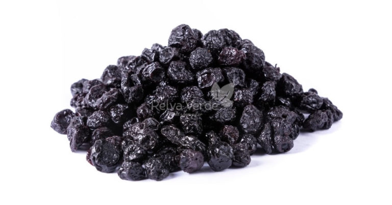 Blueberry - Relva Verde Saúde e Bem-estar