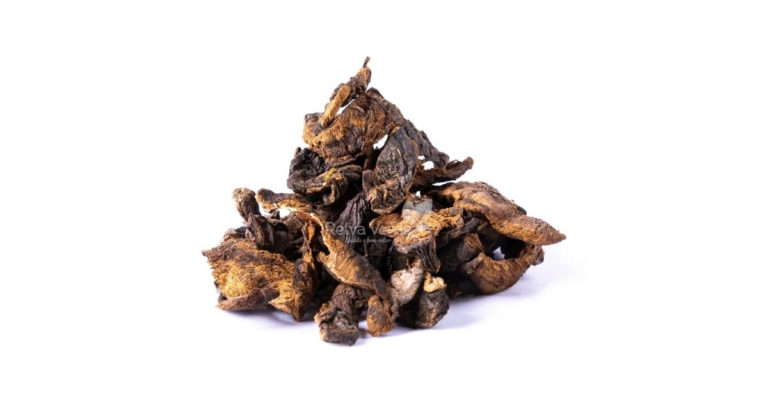 Funghi Desidratado - Relva Verde Saúde e Bem-estar