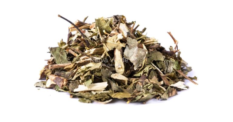 Amora Miúra - Relva Verde Saúde e Bem-estar