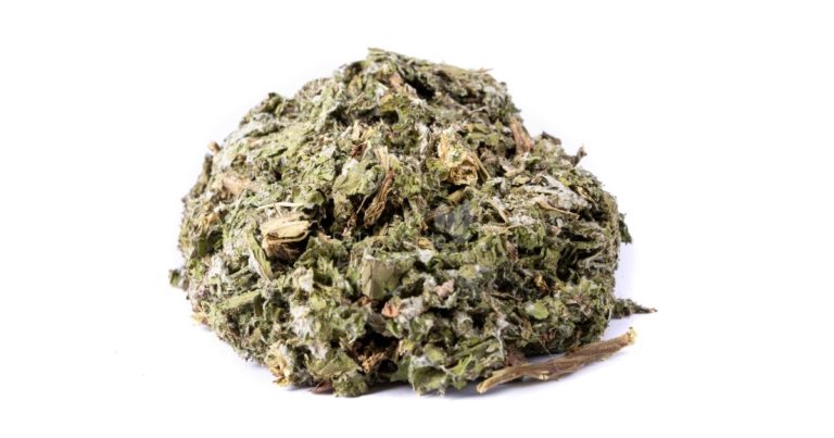 Chá de Bardana - Relva Verde Saúde e Bem-estar