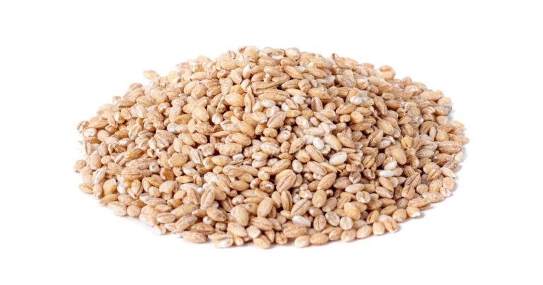 Cevada Grão - Relva Verde Saúde e Bem-estar