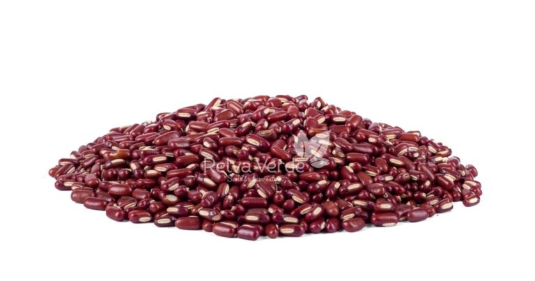 Feijão Azuki - Relva Verde Saúde e Bem-estar