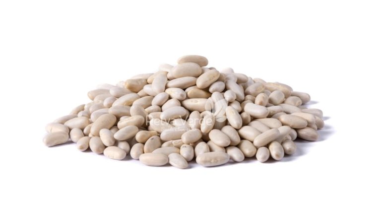 Feijão Branco - Relva Verde Saúde e Bem-estar