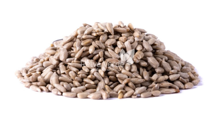 Girassol Semente (Pepita) - Relva Verde Saúde e Bem-estar