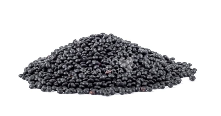 Lentilha Preta (Beluga) - Relva Verde Saúde e Bem-estar