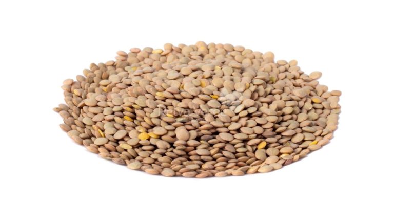 Lentilha - Relva Verde Saúde e Bem-estar