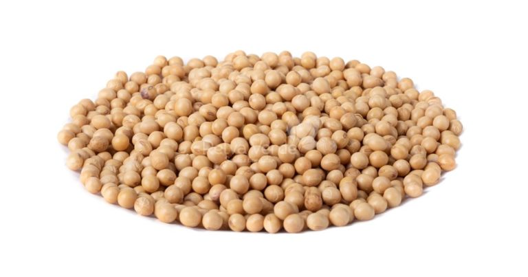 Soja em Grão - Relva Verde Saúde e Bem-estar