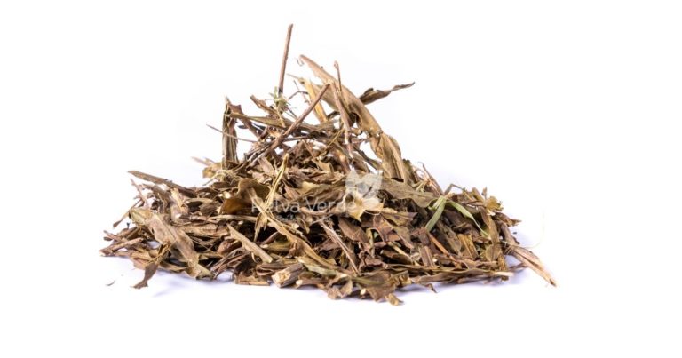 Chá de Carqueja - Relva Verde Saúde e Bem-estar