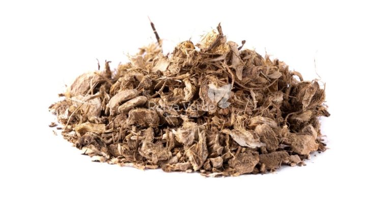 Chá de Angélica - Relva Verde Saúde e Bem-estar