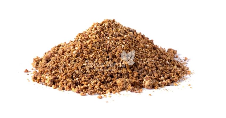 Chá de Gengibre com Laranja - Relva Verde Saúde e Bem-estar