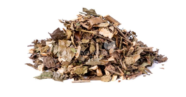 Chá de Guaçatonga Folha - Relva Verde Saúde e Bem-estar