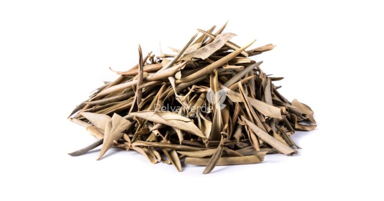 Chá de Oliveira - Relva Verde Saúde e Bem-estar