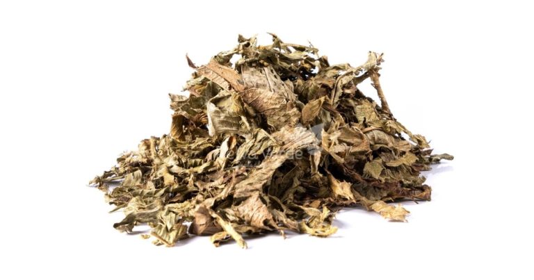 Chá de Chapéu-de-couro - Relva Verde Saúde e Bem-estar