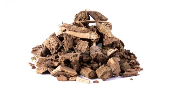 Cipó Mil-Homens - Relva Verde Saúde e Bem-estar