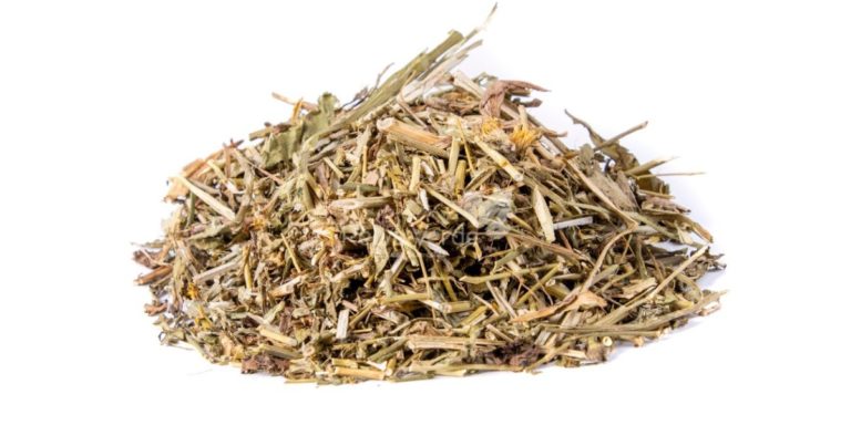 Dente de Leão - Relva Verde Saúde e Bem-estar