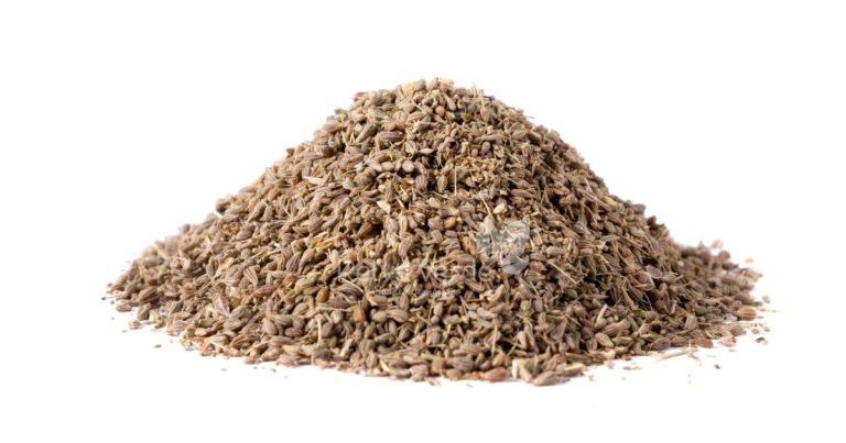 Erva Doce - Relva Verde Saúde e Bem-estar