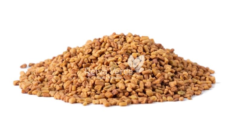 Feno Grego em Grãos - Relva Verde Saúde e Bem-estar