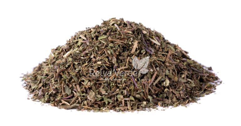 Hortelã Folha - Relva Verde Saúde e Bem-estar