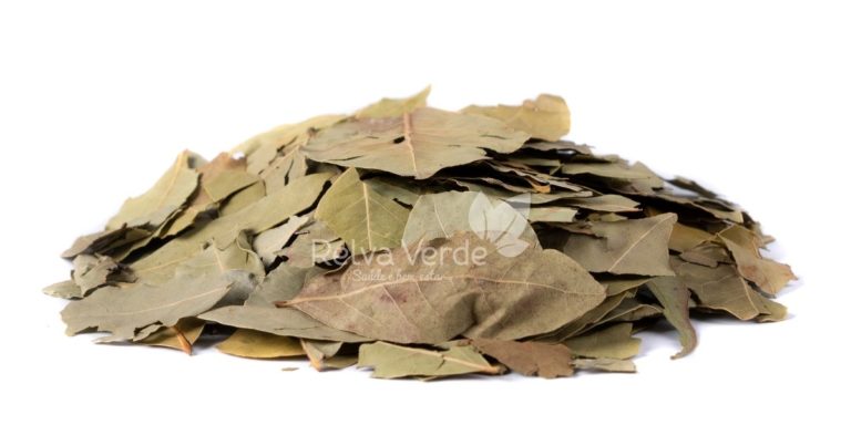 Louro - Relva Verde Saúde e Bem-estar