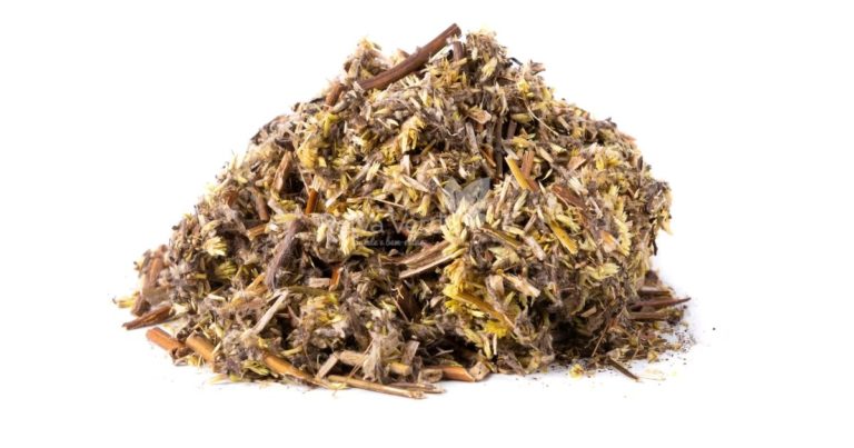 Macela (Flor) - Relva Verde Saúde e Bem-estar