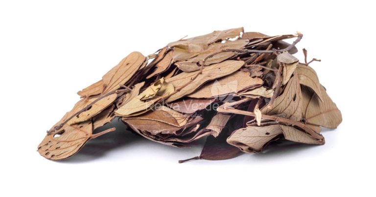 Pata de Vaca - Relva Verde Saúde e Bem-estar