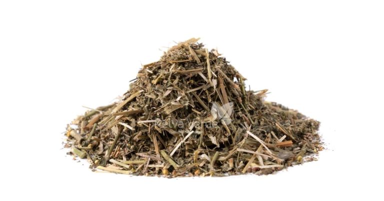 Quebra Pedra - Relva Verde Saúde e Bem-estar