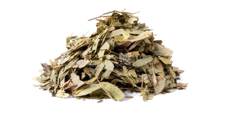 Sene em Folhas - Relva Verde Saúde e Bem-estar