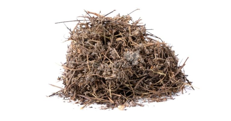 Sete Sangrias - Relva Verde Saúde e Bem-estar