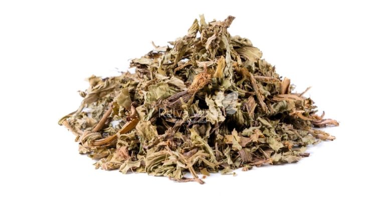 Tanchagem - Relva Verde Saúde e Bem-estar