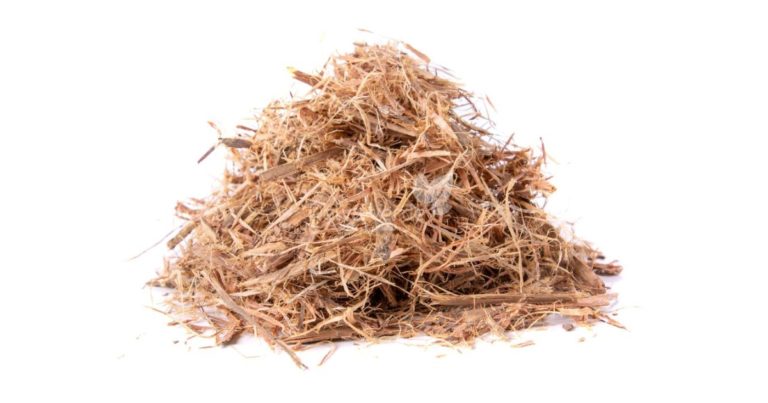 Unha de Gato - Relva Verde Saúde e Bem-estar