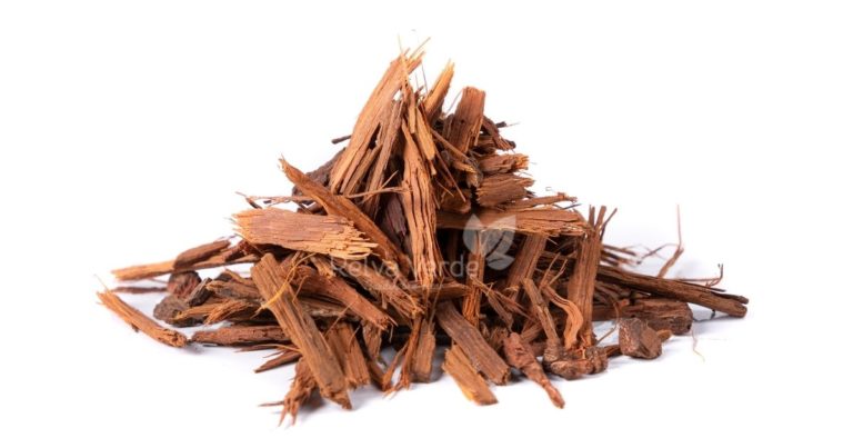 Uxi Amarelo - Relva Verde Saúde e Bem-estar