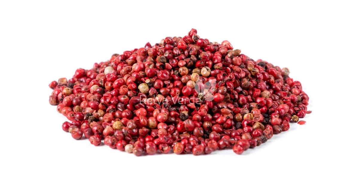 Pimenta Rosa - Relva Verde Saúde e Bem-estar Pimenta Rosa - Relva Verde Saúde e Bem-estar