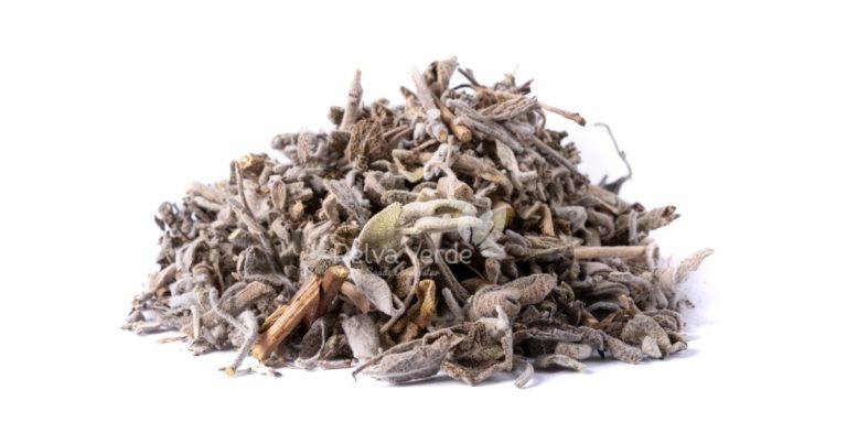 Sálvia - Relva Verde Saúde e Bem-estar