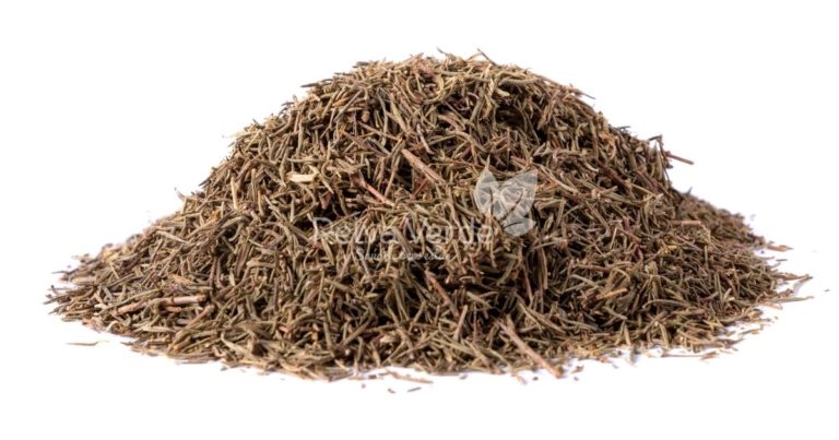 Segurelha Satureja - Relva Verde Saúde e Bem-estar