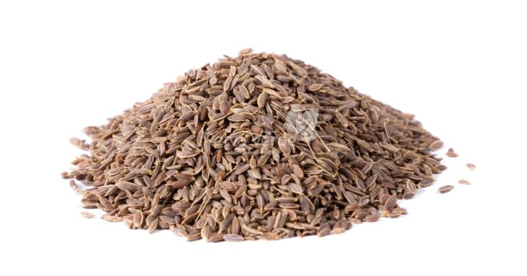 Semente de Endro - Relva Verde Saúde e Bem-estar