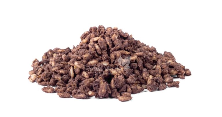 Girassol Crocante com Cacau - Relva Verde Saúde e Bem-estar