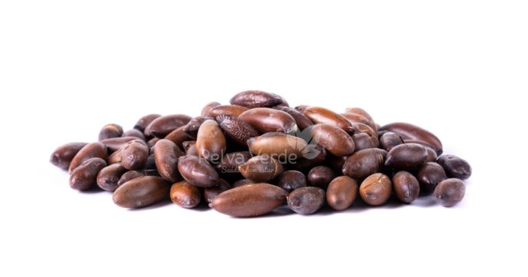 Castanha de Baru Torrada - Relva Verde Saúde e Bem-estar