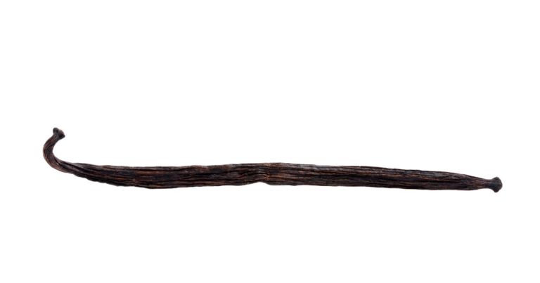 Fava de Baunilha - Relva Verde Saúde e Bem-estar