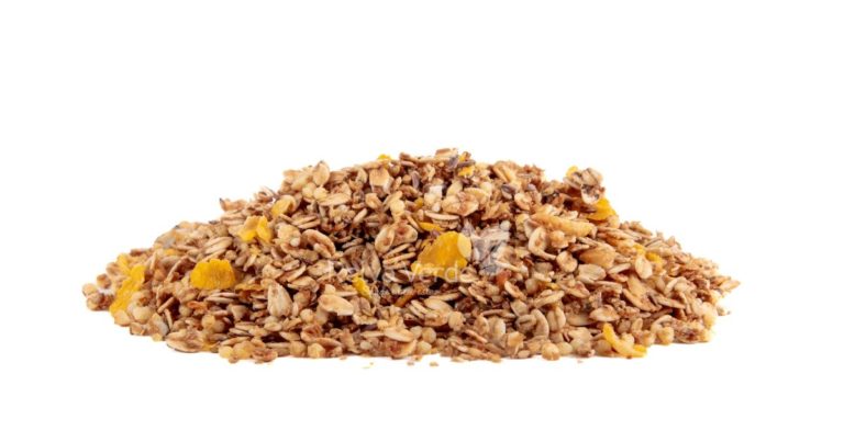 Granola Mel sem Uva Passa