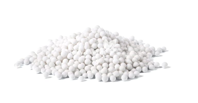 Sagu - Relva Verde Saúde e Bem-estar