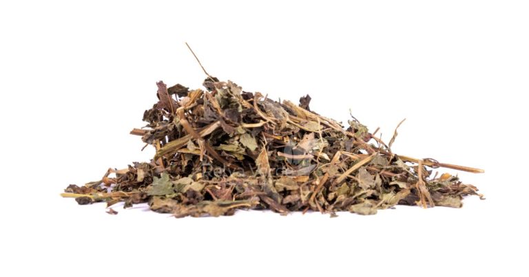 Melissa (Officinalis) _ Relva Verde Saúde e Bem-estar