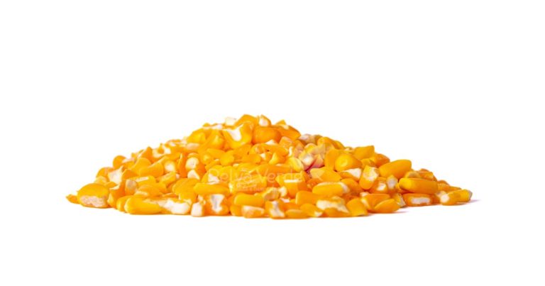 Canjica Amarela - Relva Verde Saúde e Bem-estar