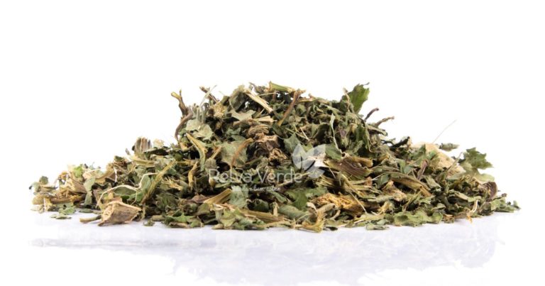 Chá Assa-Peixe - Relva Verde