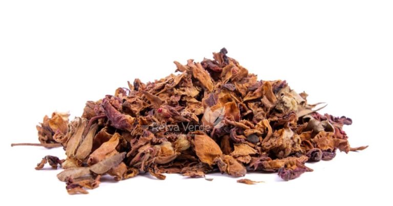 Rosa Rubra - Relva Verde Saúde e Bem-estar