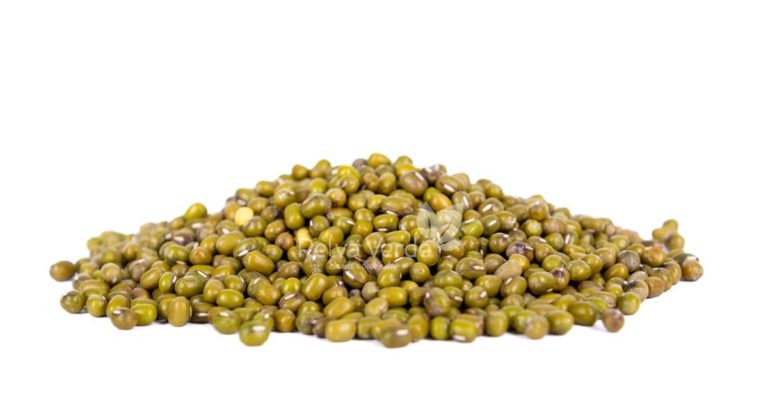 Feijão Moyashi (Mungo) - Relva Verde Saúde e Bem-estar