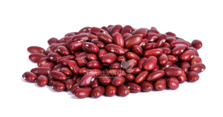 Feijão Vermelho - Relva Verde Saúde e Bem-estar