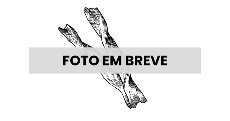 Palitos - Relva Verde Saúde e Bem-estar