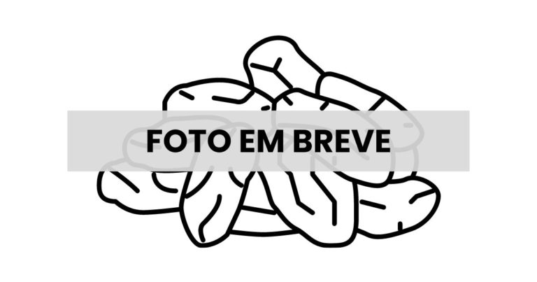 Frutas Desidratadas - Relva Verde Saúde e Bem-estar