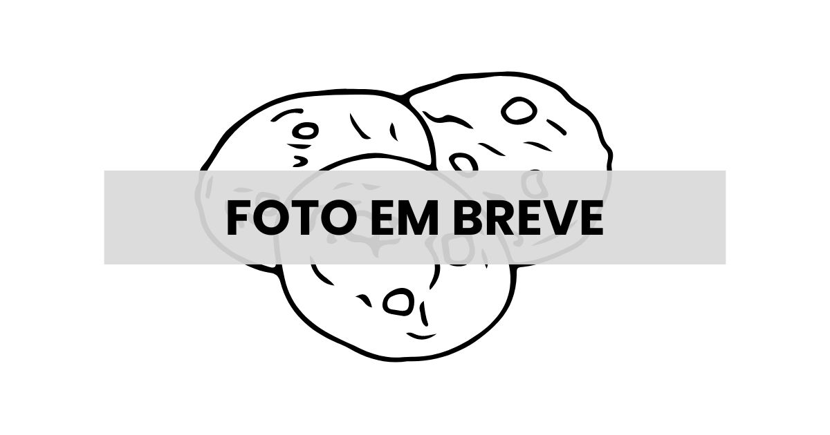 Cookies de Cacau com Avelã Diet Cookies de Cacau com Avelã Diet